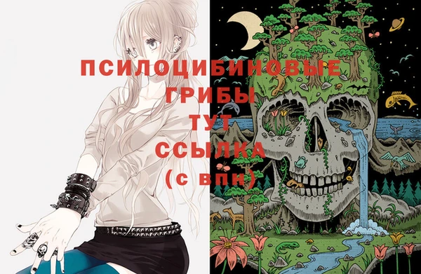 стафф Абаза