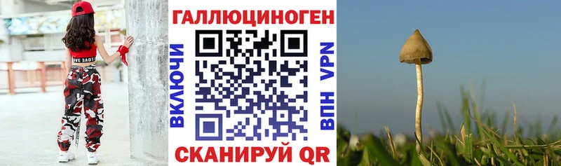 где купить наркоту  Сусуман  Галлюциногенные грибы Cubensis 